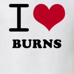 Burns Allegany County New York State I Love Heart Adore T Shirt 5442965