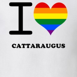 Cattaraugus Cattaraugus County New York State I Love Heart Gay Pride T Shirt 5443105