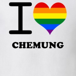 Chemung Chemung County New York State I Love Heart Gay Pride T Shirt 5443196