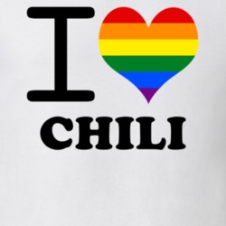 Chili Monroe County New York State I Love Heart Gay Pride T Shirt 5443220