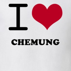 Chemung Chemung County New York State I Love Heart Adore T Shirt 5443228