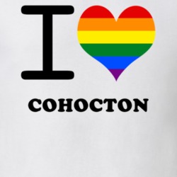 Cohocton Steuben County New York State I Love Heart Gay Pride T Shirt 5443351