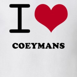 Coeymans Albany County New York State I Love Heart Adore T Shirt 5443378