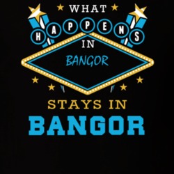 Bangor Franklin County New York State What Happens In Stays In Parody T Shirt 5448008