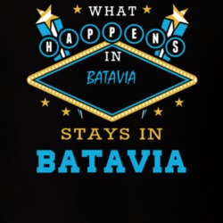 Batavia Genesee County New York State What Happens In Stays In Parody T Shirt 5448015