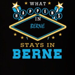 Berne Albany County New York State What Happens In Stays In Parody T Shirt 5448037
