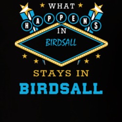 Birdsall Allegany County New York State What Happens In Stays In Parody T Shirt 5448043