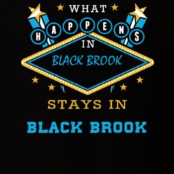 Black Brook Clinton County New York State What Happens In Stays In Parody T Shirt 5448044