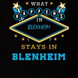 Blenheim Schoharie County New York State What Happens In Stays In Parody T Shirt 5448048