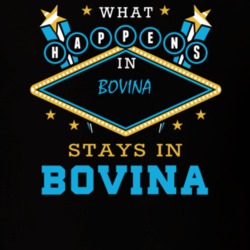 Bovina Delaware County New York State What Happens In Stays In Parody T Shirt 5448058