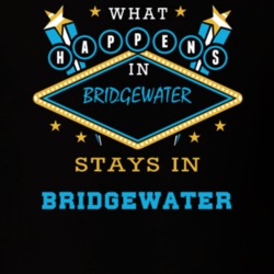 Bridgewater Oneida County New York State What Happens In Stays In Parody T Shirt 5448066