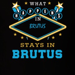Brutus Cayuga County New York State What Happens In Stays In Parody T Shirt 5448082