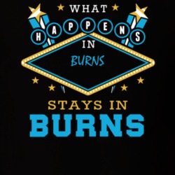 Burns Allegany County New York State What Happens In Stays In Parody T Shirt 5448088
