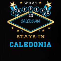 Caledonia Livingston County New York State What Happens In Stays In Parody T Shirt 5448094