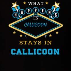 Callicoon Sullivan County New York State What Happens In Stays In Parody T Shirt 5448095