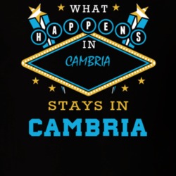 Cambria Niagara County New York State What Happens In Stays In Parody T Shirt 5448096