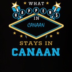 Canaan Columbia County New York State What Happens In Stays In Parody T Shirt 5448102