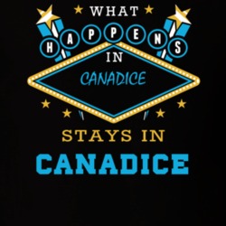 Canadice Ontario County New York State What Happens In Stays In Parody T Shirt 5448103