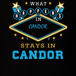 Candor Tioga County New York State What Happens In Stays In Parody T Shirt 5448108