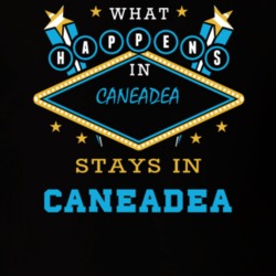 Caneadea Allegany County New York State What Happens In Stays In Parody T Shirt 5448109