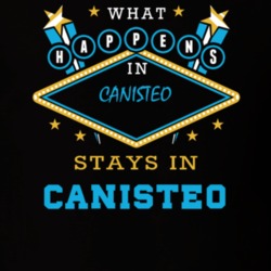 Canisteo Steuben County New York State What Happens In Stays In Parody T Shirt 5448110