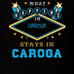 Caroga Fulton County New York State What Happens In Stays In Parody T Shirt 5448117