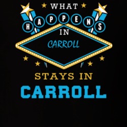 Carroll Chautauqua County New York State What Happens In Stays In Parody T Shirt 5448119