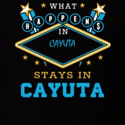 Cayuta Schuyler County New York State What Happens In Stays In Parody T Shirt 5448134