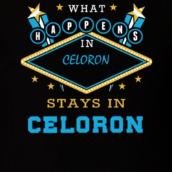 Celoron Chautauqua County New York State What Happens In Stays In Parody T Shirt 5448137