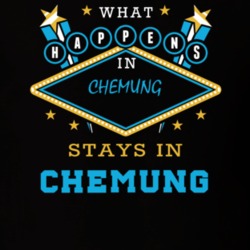 Chemung Chemung County New York State What Happens In Stays In Parody T Shirt 5448153