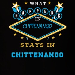 Chittenango Madison County New York State What Happens In Stays In Parody T Shirt 5448162