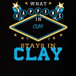 Clay Onondaga County New York State What Happens In Stays In Parody T Shirt 5448173