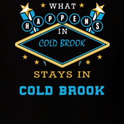 Cold Brook Herkimer County New York State What Happens In Stays In Parody T Shirt 5448192