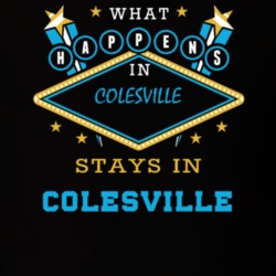 Colesville Broome County New York State What Happens In Stays In Parody T Shirt 5448196