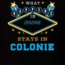 Colonie Albany County New York State What Happens In Stays In Parody T Shirt 5448198