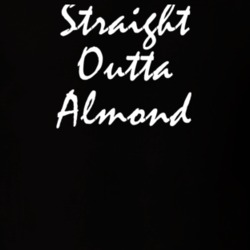 Almond Allegany County New York State Straight Outta Hip Hop Parody T Shirt 5448892