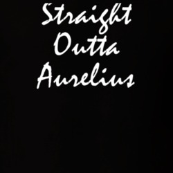 Aurelius Cayuga County New York State Straight Outta Hip Hop Parody T Shirt 5449020