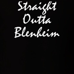 Blenheim Schoharie County New York State Straight Outta Hip Hop Parody T Shirt 5449182
