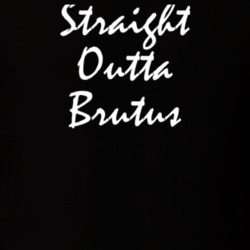 Brutus Cayuga County New York State Straight Outta Hip Hop Parody T Shirt 5449294