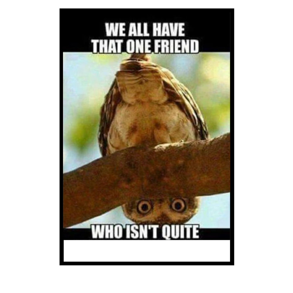 We All Have That One Friend Poster