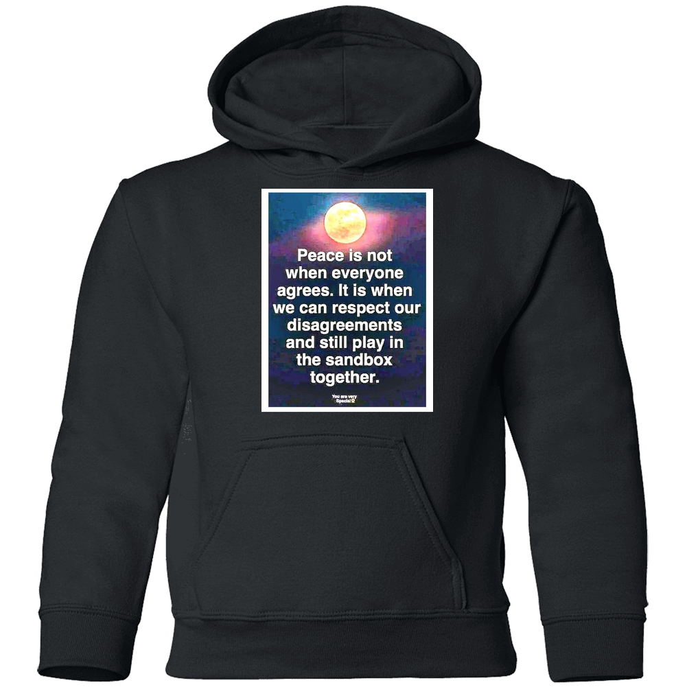 Peace Is When We Can Agree To Disagree Youth Hoodie