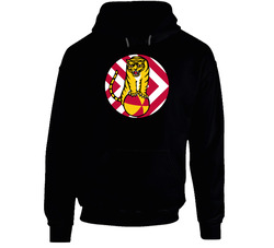 Usaf - 430th Ee Combat Squadron Wo Txt Hoodie 38051824