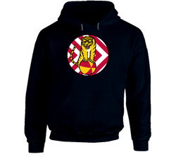 Usaf - 430th Ee Combat Squadron Wo Txt Hoodie 38051825