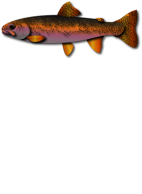 image overlay