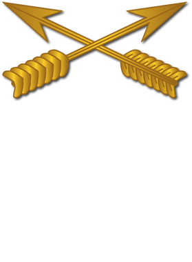 image overlay