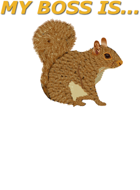 image overlay