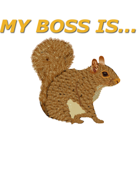 image overlay