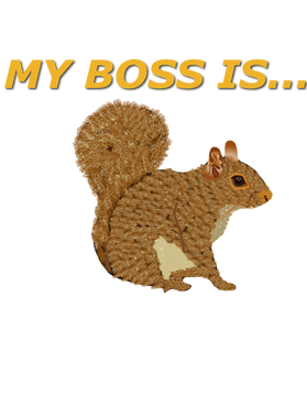 image overlay