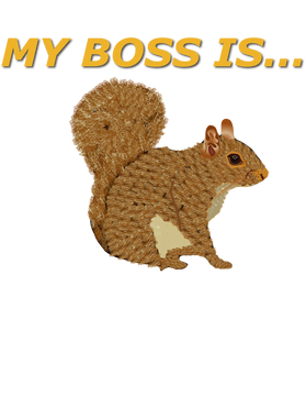image overlay