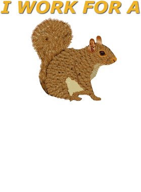 image overlay